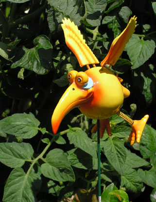 Dodo Bird Garden